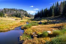 arizona airport focus show low white mountains